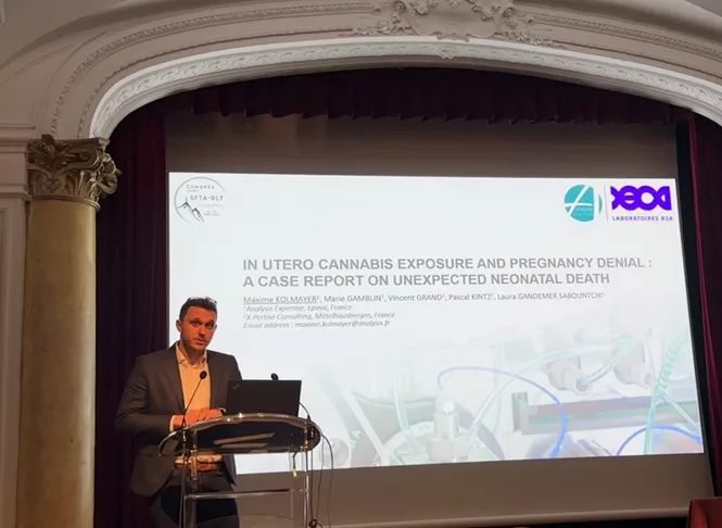 analysis expertise visuel 66